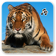 Download Tiger sounds For PC Windows and Mac 1.1.3