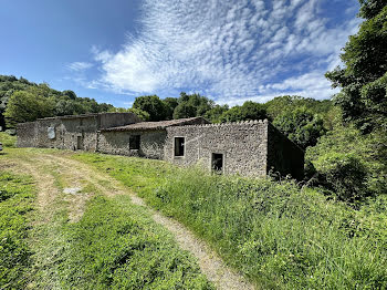 propriété à Limoux (11)