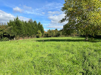 terrain à Luxeuil-les-Bains (70)