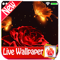 Magical Red Rose Live Wallpaper 2019 Red Rose