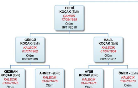 E-Devlet Soyağacı Gösterici Preview image 0