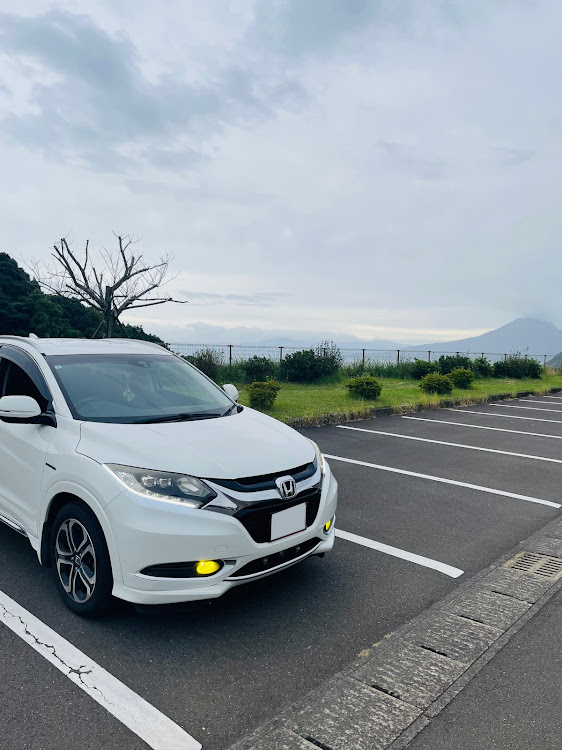 ヴェゼルの雨天写活・ナンバーフレーム塗装&取付・ラップ塗装計画・ドライブ・総合運動公園に関するカスタム事例の投稿画像4枚目