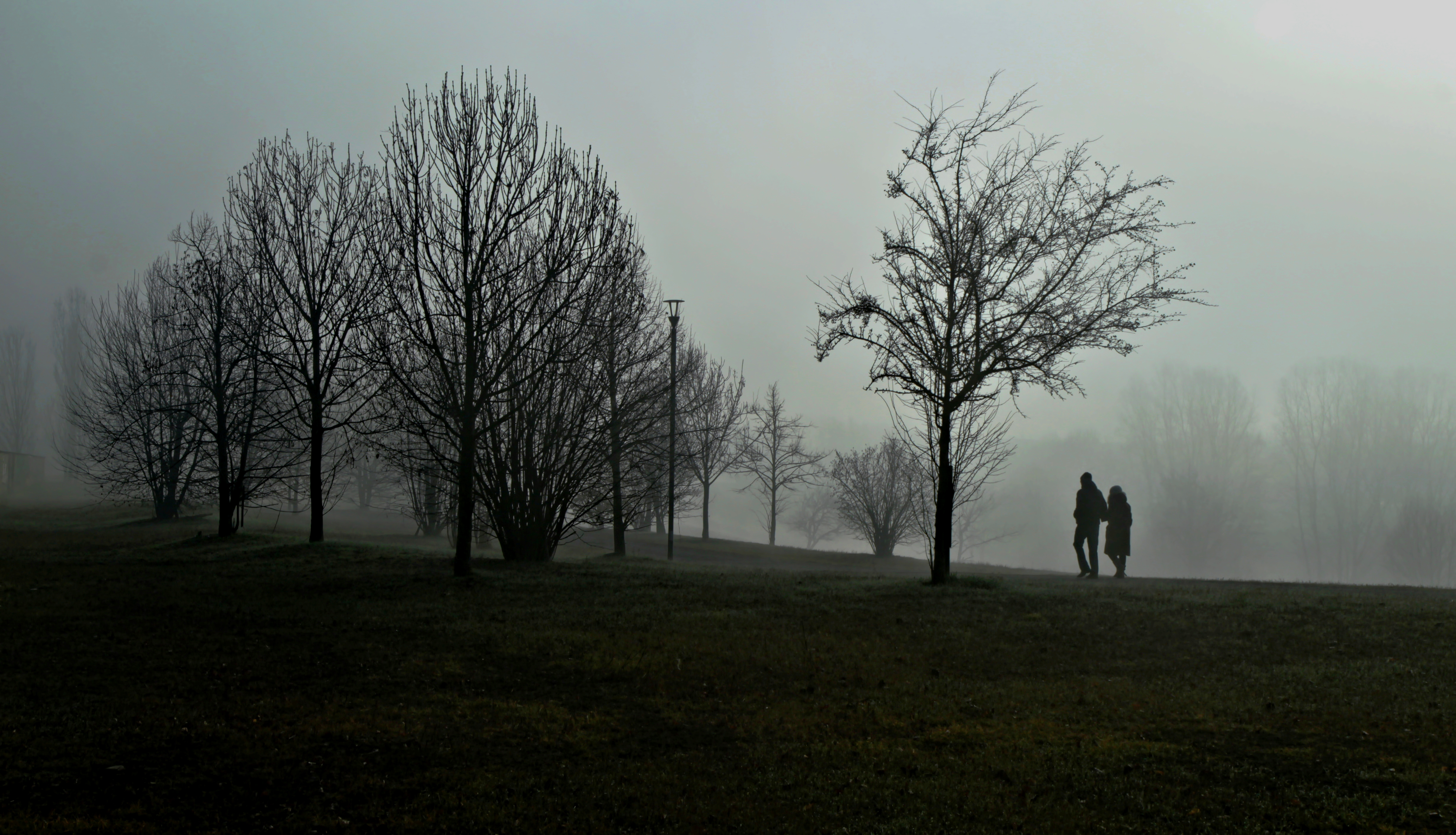 Due passi nel parco di FZATOX