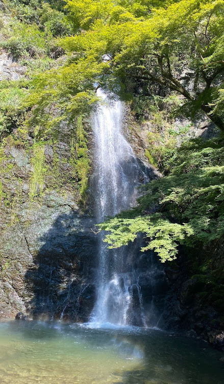 の投稿画像10枚目