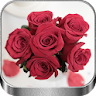 Rosas Rojas de Amor icon