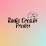 Radio Crestin Predici icon