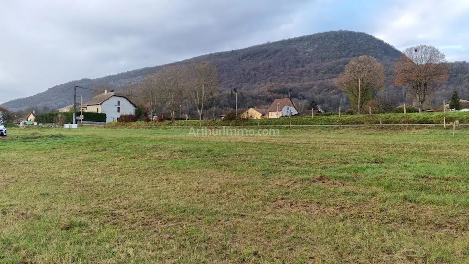 Vente terrain à batir  905 m² à Peyrieu (01300), 83 000 €