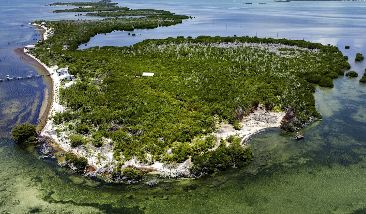 Terrain Big Pine Key