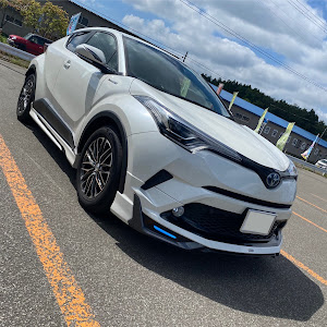 C-HR ZYX10