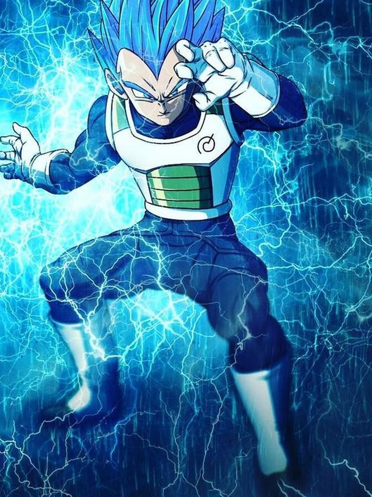 vegeta super saiyan god blue