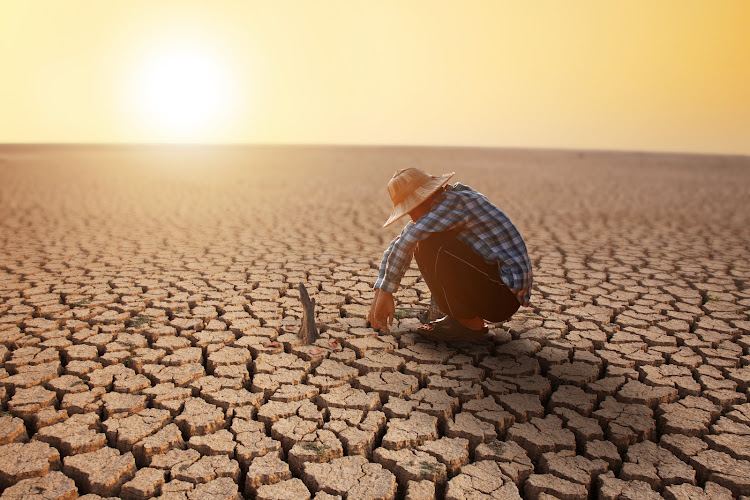 Heat stress causes dehydration, headaches, nausea and, in extreme cases, death. PICTURE 123rf