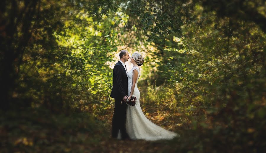 Photographe de mariage Olga Shok (olgashok). Photo du 8 octobre 2015