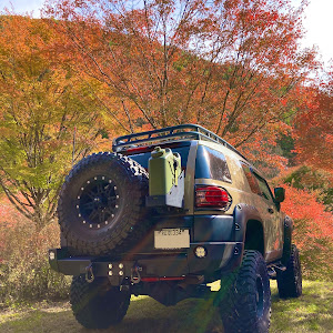 FJクルーザー GSJ15W