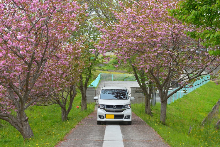 の投稿画像6枚目