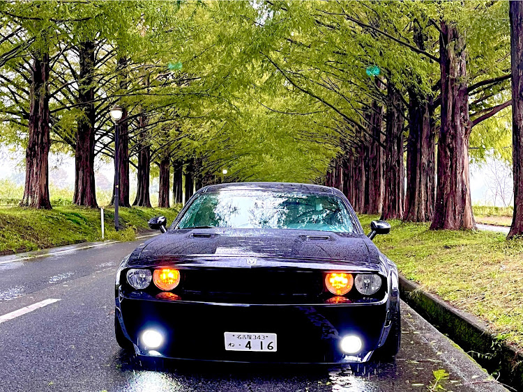 チャレンジャーのLB★WORKS・着地style・あのベンチ・滋賀 メタセコイア並木・いつメンに感謝に関するカスタム事例の投稿画像6枚目