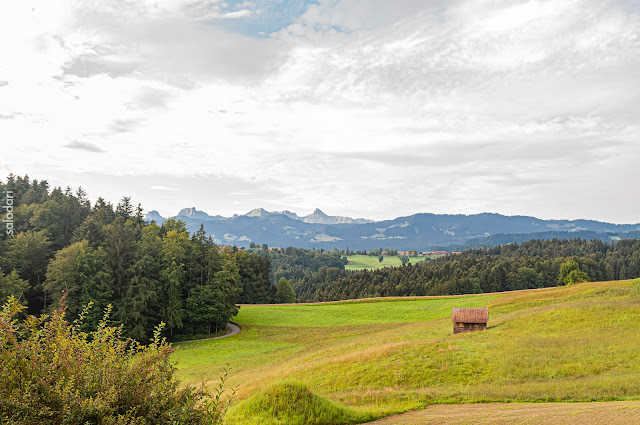 Viaje a Suiza, un pequeño bocado en 14 días - Blogs de Suiza - BERNA (11)