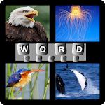 4 Pics 1 Word Apk