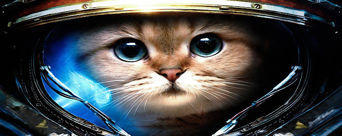 Cats Wallpaper HD Custom New Tab marquee promo image