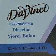 DaVinci Painters Logo