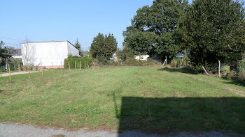 maison neuve à Vigneux-de-Bretagne (44)