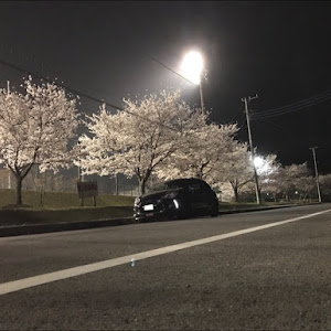 DS3