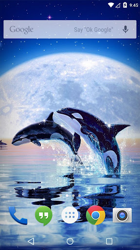 Ocean Dolphins Live Wallpaper