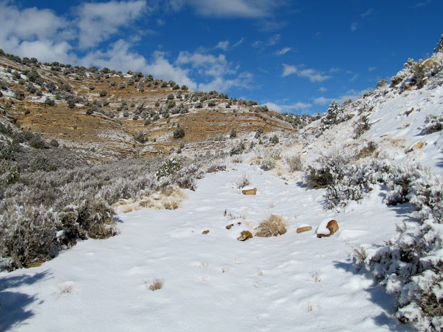 Old Gate Canyon road