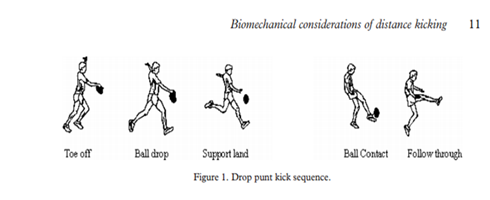 Image result for biomechanics of AFl 