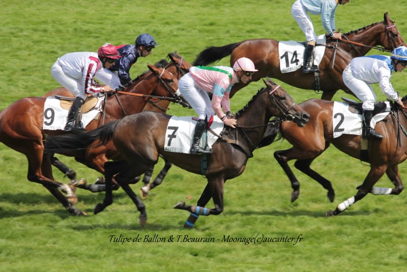 Photos Auteuil 7-06-2015 Journée Grande Course de Haies 2Tm5tk5bEfrnrW-jwM-WGINALPizpAtCM4XkVaVmMsKC=w800-h534-no