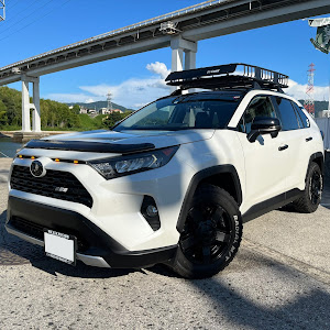 RAV4 MXAA54