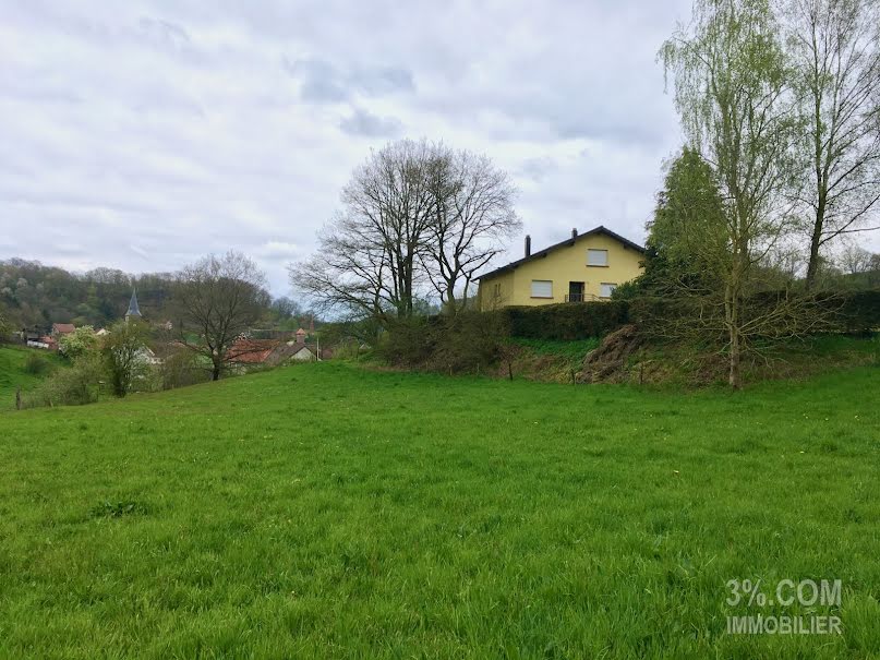 Vente terrain  1393 m² à Walschbronn (57720), 29 500 €