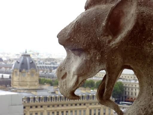 Notre Dame Paris France 2011