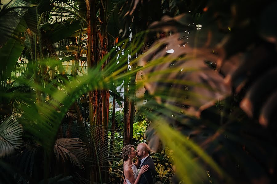 Photographe de mariage Ekaterina Ageeva (kotamak). Photo du 30 juin 2019