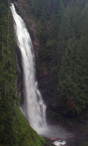 Large forest waterfall