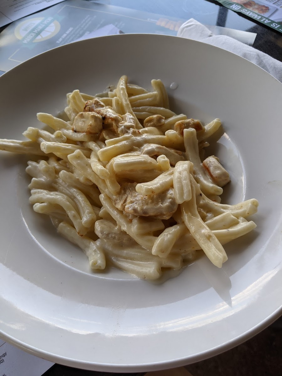 Fettuccine alfredo with grilled chicken