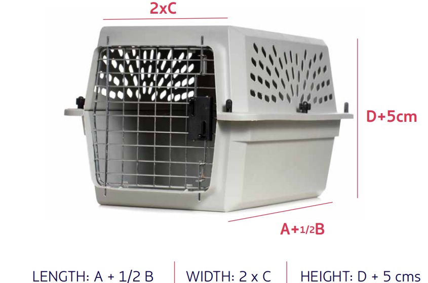 Pet Carrier requirement on Latam