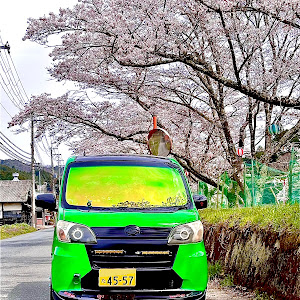 タントエグゼカスタム L455S