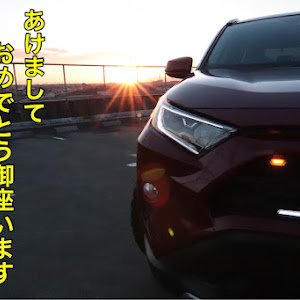 RAV4 AXAH54