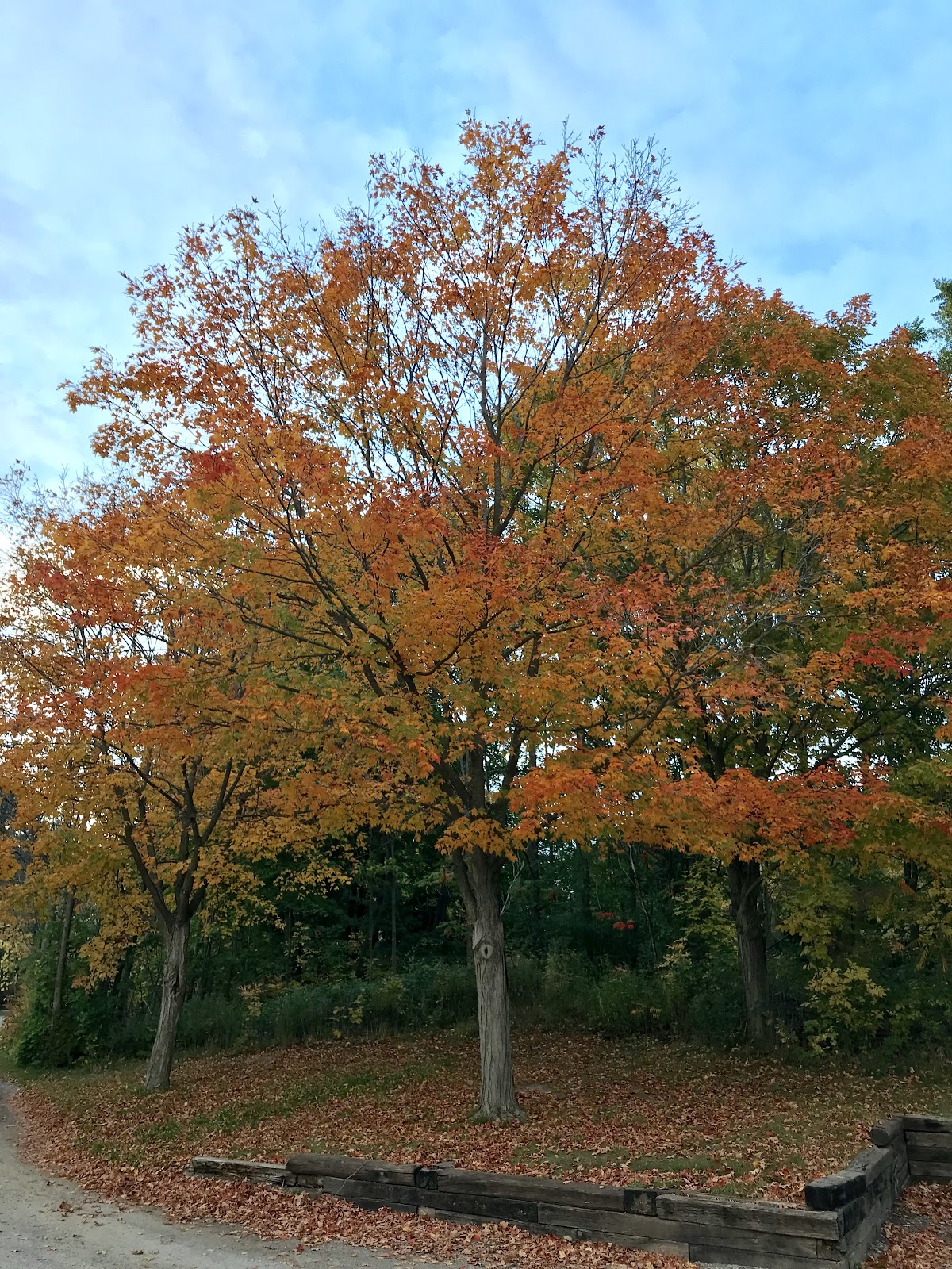 places to see fall foliage