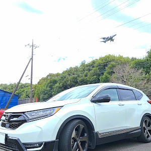 CR-V RW1