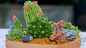 The Plant-Based Succulent Cake thumbnail