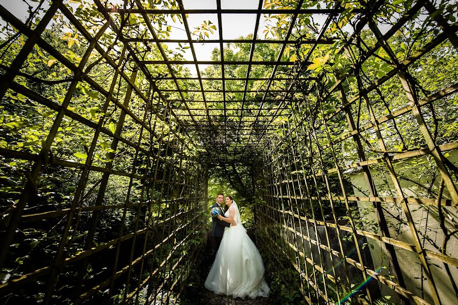 Fotógrafo de bodas Reza Shadab (shadab). Foto del 3 de abril 2019