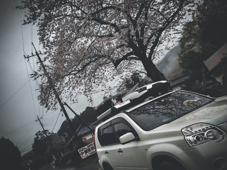 エクストレイルのX-TRAIL・エクストレイルT31・ドライブ・4月もよろしくお願い致します🌸に関するカスタム事例の投稿画像1枚目