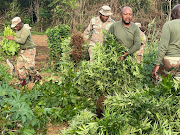 SANDF's 7 South African Infantry Battalion recorded its biggest success since operating along KwaZulu-Natal’s borders with Mozambique and Eswatini.