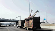 LOW BLOW: Giraffe are transported on the N1 yesterday. One of the animals hit its head on the overpass near Garsfontein, Pretoria. The SPCA is investigating