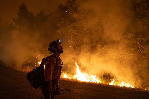 A fireman at the Mosquito wildfire in California which erupted in 2022. Picture: BLOOMBERG