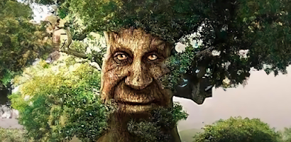 When you want to download wise mystical tree game 