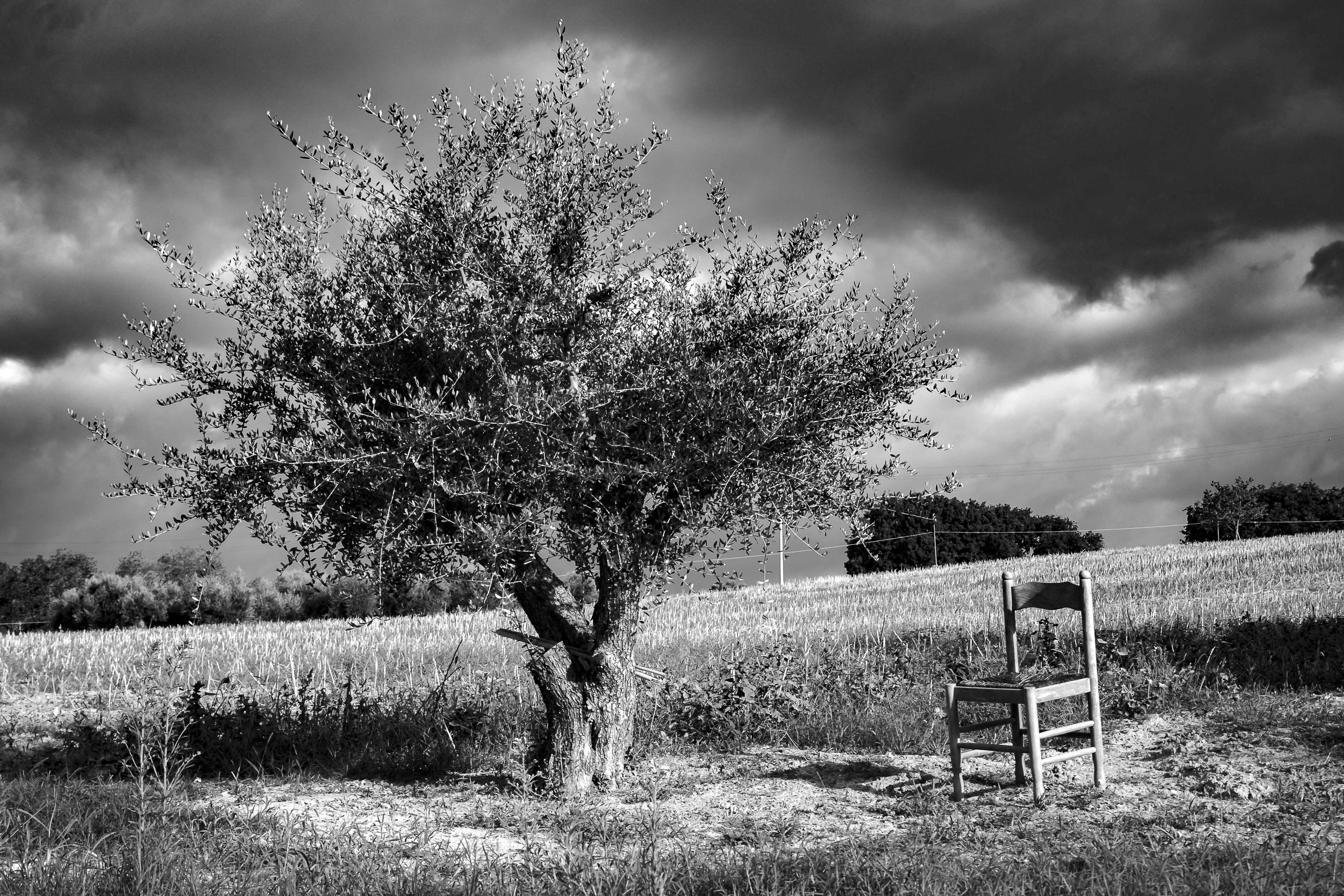 lasciate libero il paesaggio di francomariangeli