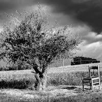 lasciate libero il paesaggio di 