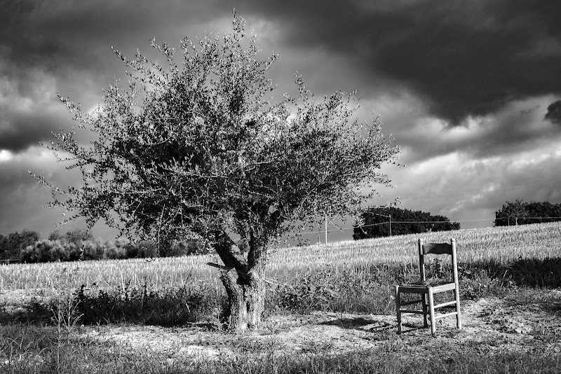 lasciate libero il paesaggio di francomariangeli